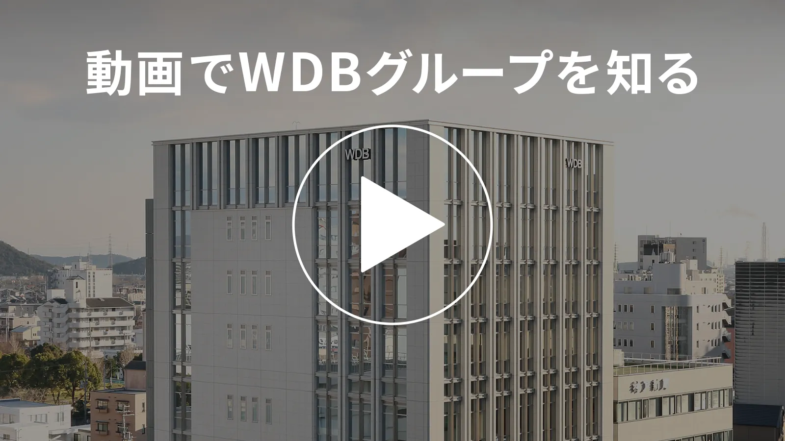 動画でWDBグループを知る